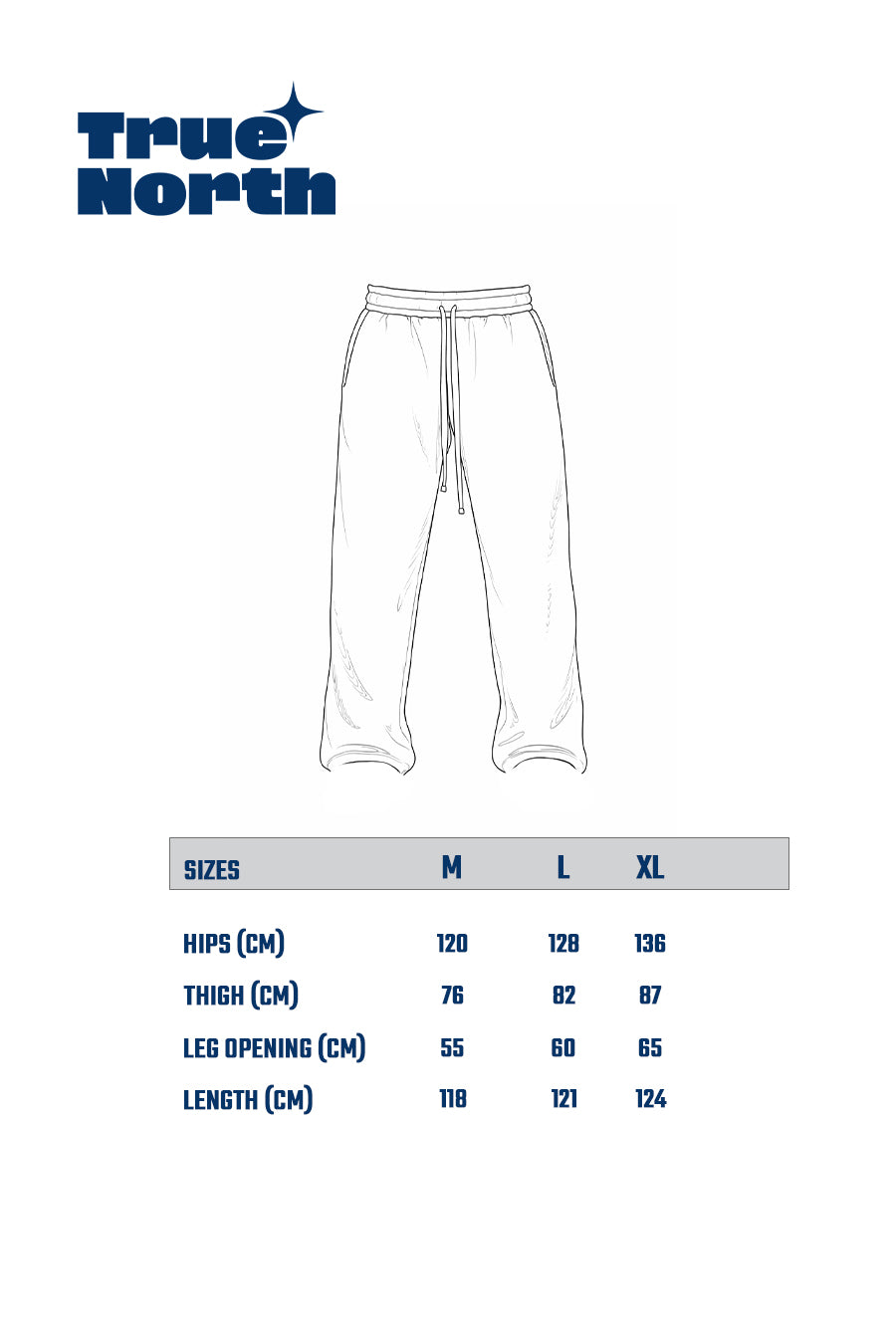 Men Regular Fit Pants